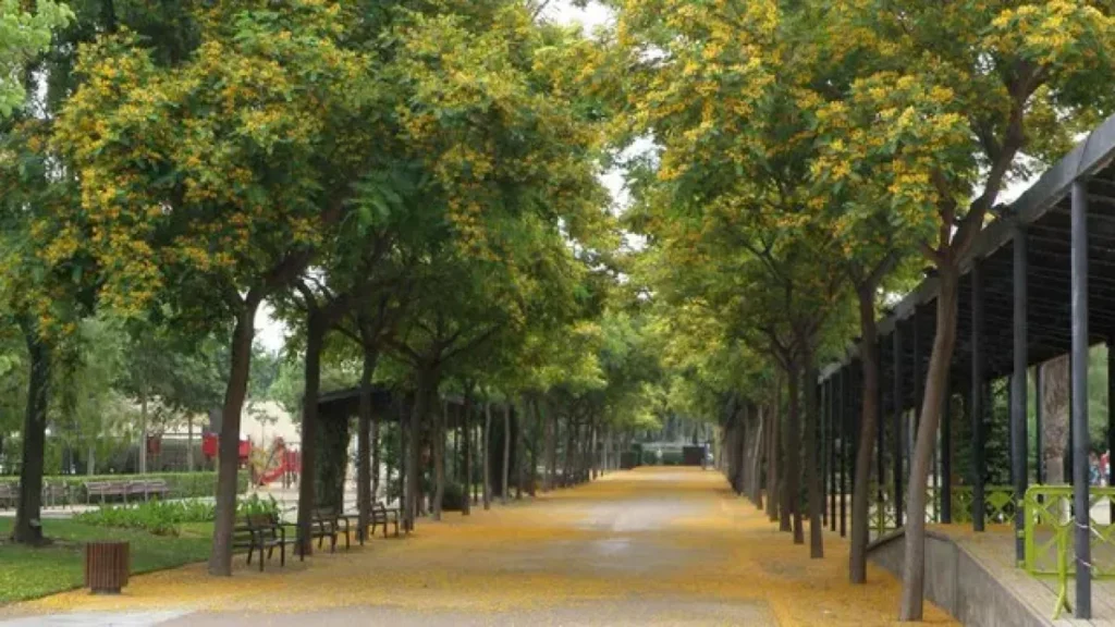 Parques de Cambrils